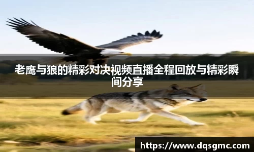 贝博BB平台