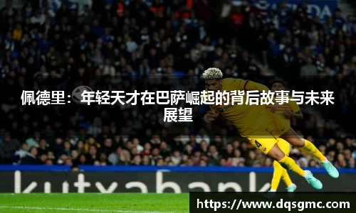 BB贝博官网