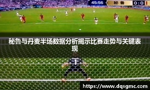 秘鲁与丹麦半场数据分析揭示比赛走势与关键表现